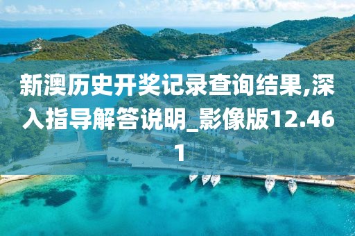 新澳历史开奖记录查询结果,深入指导解答说明_影像版12.461