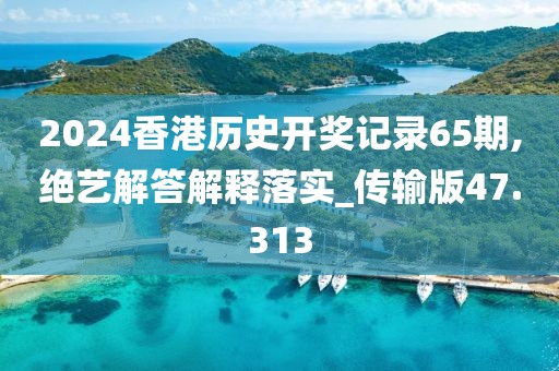 2024香港历史开奖记录65期,绝艺解答解释落实_传输版47.313