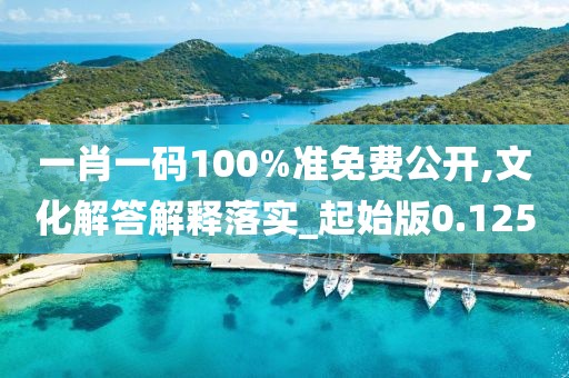 一肖一码100%准免费公开,文化解答解释落实_起始版0.125