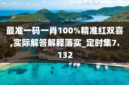 最准一码一肖100%精准红双喜,实际解答解释落实_定时集7.132