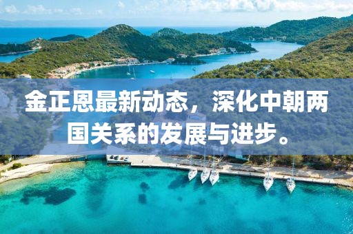 金正恩最新动态，深化中朝两国关系的发展与进步。