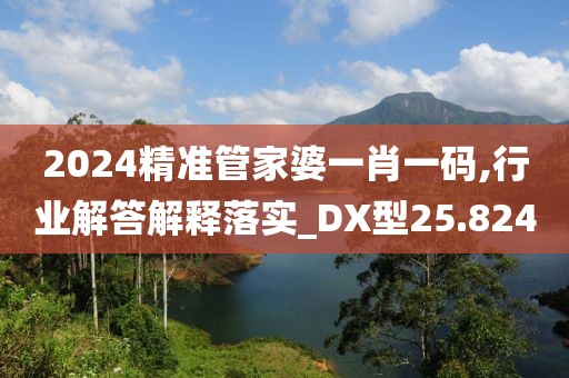 2024精准管家婆一肖一码,行业解答解释落实_DX型25.824