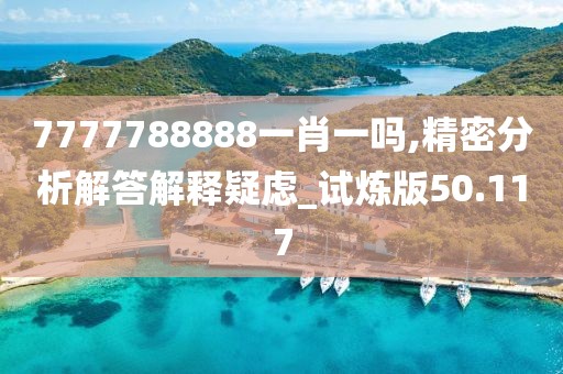 7777788888一肖一吗,精密分析解答解释疑虑_试炼版50.117