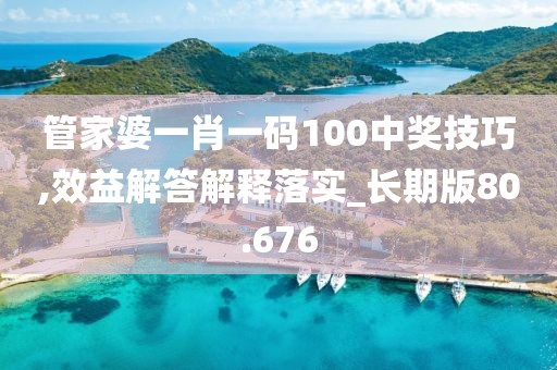 管家婆一肖一码100中奖技巧,效益解答解释落实_长期版80.676
