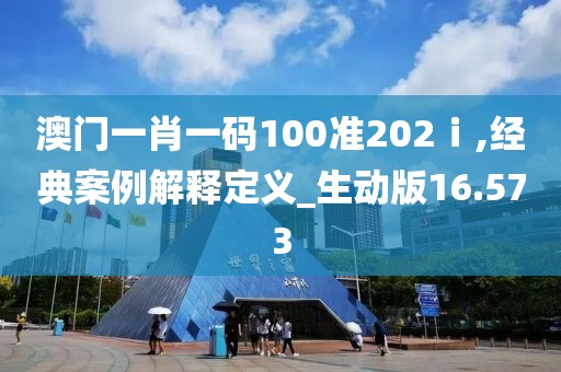 澳门一肖一码100准202ⅰ,经典案例解释定义_生动版16.573