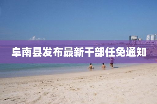 阜南县发布最新干部任免通知
