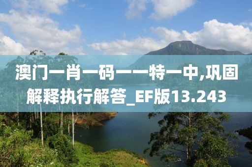 澳门一肖一码一一特一中,巩固解释执行解答_EF版13.243