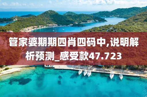 管家婆期期四肖四码中,说明解析预测_感受款47.723