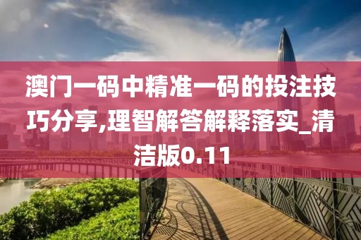 澳门一码中精准一码的投注技巧分享,理智解答解释落实_清洁版0.11