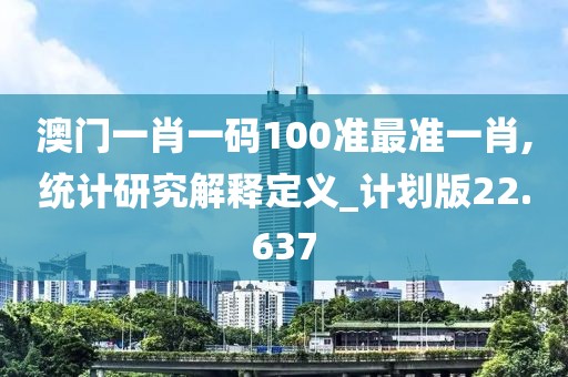 澳门一肖一码100准最准一肖,统计研究解释定义_计划版22.637