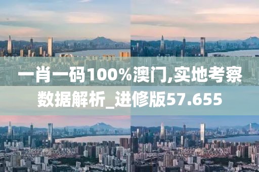 一肖一码100%澳门,实地考察数据解析_进修版57.655