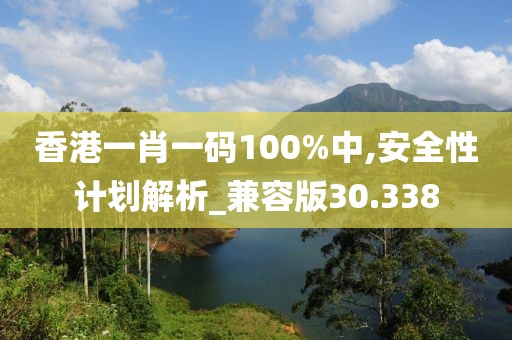 香港一肖一码100%中,安全性计划解析_兼容版30.338
