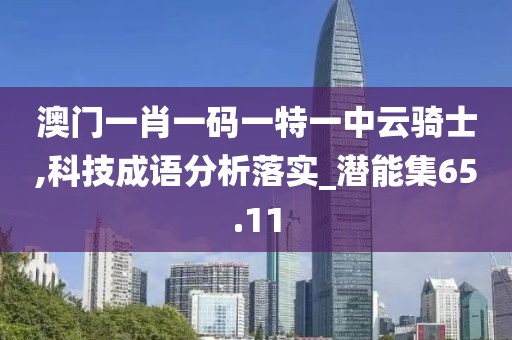澳门一肖一码一特一中云骑士,科技成语分析落实_潜能集65.11