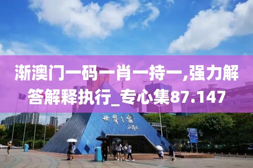 渐澳门一码一肖一持一,强力解答解释执行_专心集87.147