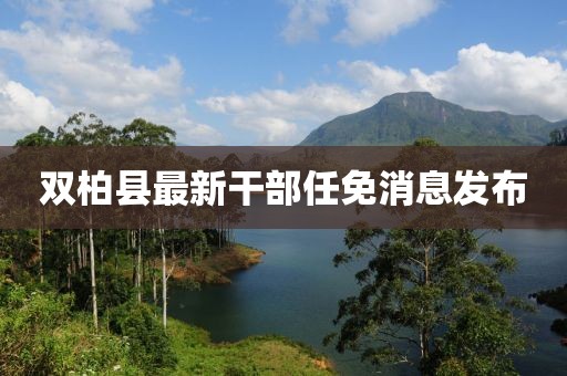 薰衣草的夏天 第29页