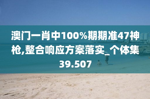 澳门一肖中100%期期准47神枪,整合响应方案落实_个体集39.507