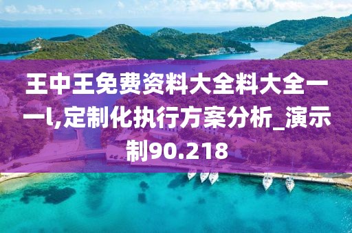 王中王免费资料大全料大全一一l,定制化执行方案分析_演示制90.218