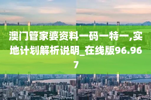 澳门管家婆资料一码一特一,实地计划解析说明_在线版96.967