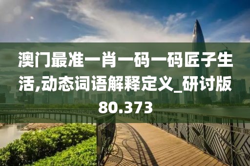 澳门最准一肖一码一码匠子生活,动态词语解释定义_研讨版80.373