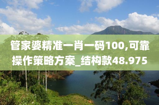 管家婆精准一肖一码100,可靠操作策略方案_结构款48.975