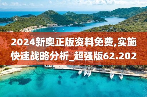 2024新奥正版资料免费,实施快速战略分析_超强版62.202