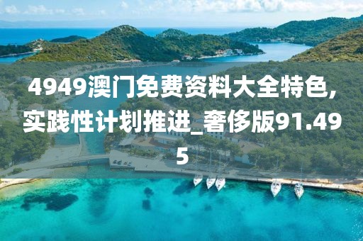 4949澳门免费资料大全特色,实践性计划推进_奢侈版91.495