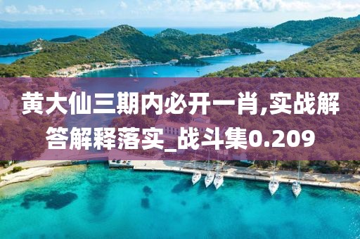 黄大仙三期内必开一肖,实战解答解释落实_战斗集0.209