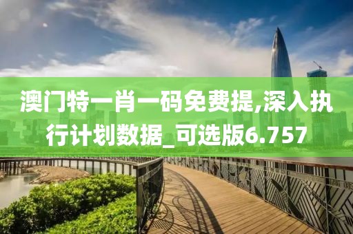 澳门特一肖一码免费提,深入执行计划数据_可选版6.757
