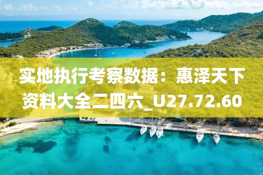 实地执行考察数据：惠泽天下资料大全二四六_U27.72.60