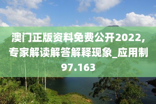 澳门正版资料免费公开2022,专家解读解答解释现象_应用制97.163
