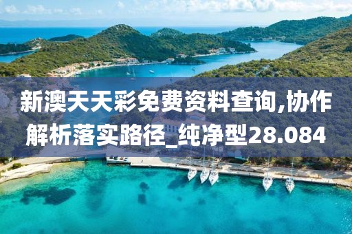 新澳天天彩免费资料查询,协作解析落实路径_纯净型28.084