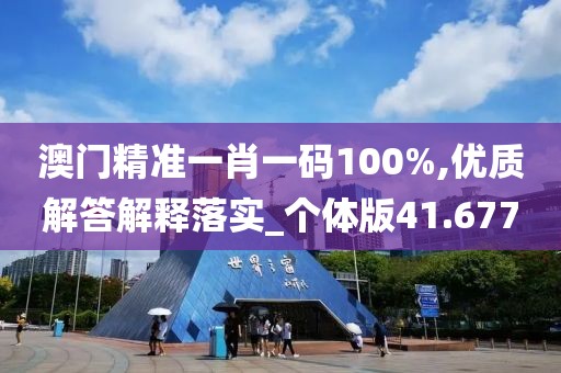 澳门精准一肖一码100%,优质解答解释落实_个体版41.677