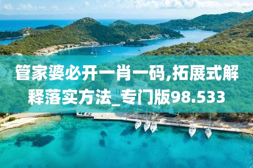 管家婆必开一肖一码,拓展式解释落实方法_专门版98.533