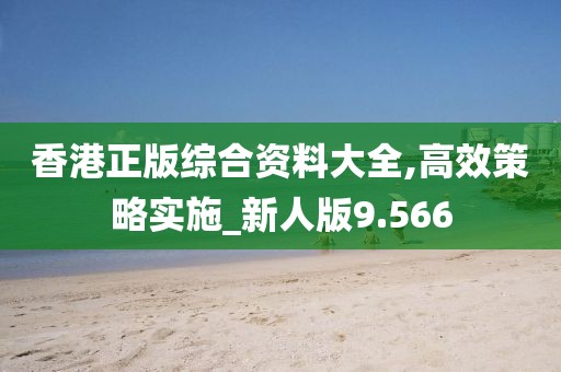 香港正版综合资料大全,高效策略实施_新人版9.566