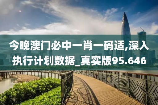 今晚澳门必中一肖一码适,深入执行计划数据_真实版95.646