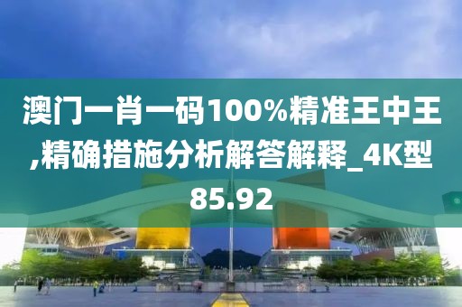 澳门一肖一码100%精准王中王,精确措施分析解答解释_4K型85.92