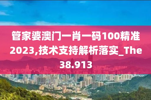 管家婆澳门一肖一码100精准2023,技术支持解析落实_The38.913
