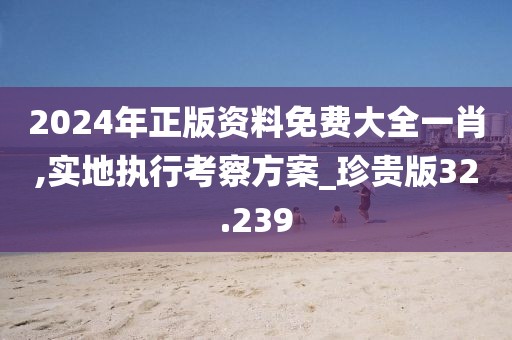 2024年正版资料免费大全一肖,实地执行考察方案_珍贵版32.239