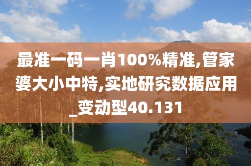最准一码一肖100%精准,管家婆大小中特,实地研究数据应用_变动型40.131
