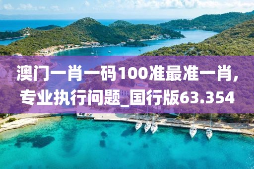 澳门一肖一码100准最准一肖,专业执行问题_国行版63.354