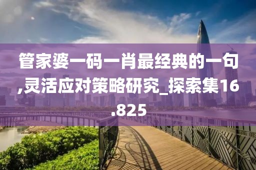 管家婆一码一肖最经典的一句,灵活应对策略研究_探索集16.825