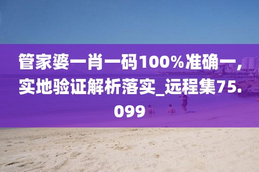 管家婆一肖一码100%准确一,实地验证解析落实_远程集75.099