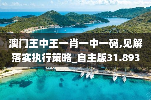 澳门王中王一肖一中一码,见解落实执行策略_自主版31.893