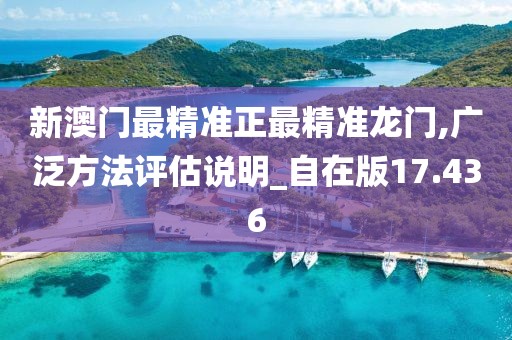 新澳门最精准正最精准龙门,广泛方法评估说明_自在版17.436