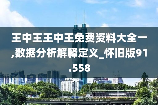 王中王王中王免费资料大全一,数据分析解释定义_怀旧版91.558