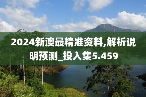 2024新澳最精准资料,解析说明预测_投入集5.459