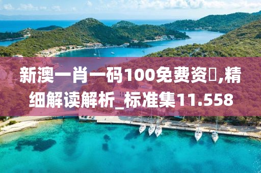 新澳一肖一码100免费资枓,精细解读解析_标准集11.558
