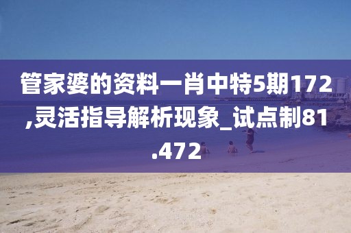管家婆的资料一肖中特5期172,灵活指导解析现象_试点制81.472
