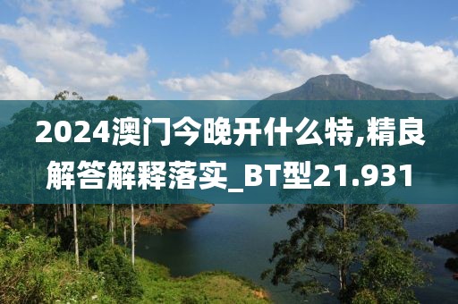 2024澳门今晚开什么特,精良解答解释落实_BT型21.931