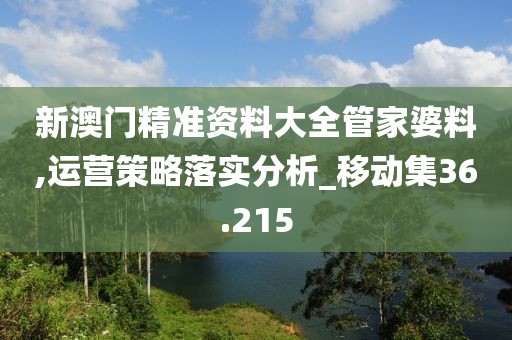 新澳门精准资料大全管家婆料,运营策略落实分析_移动集36.215